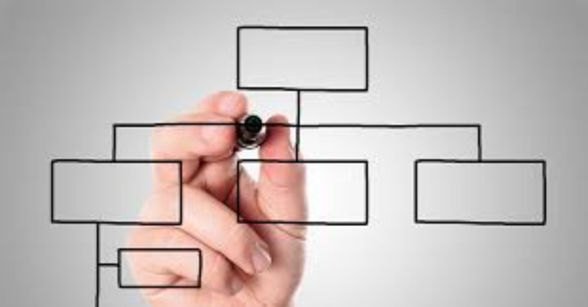 Organizzazione IeFP AS 2016/2017
